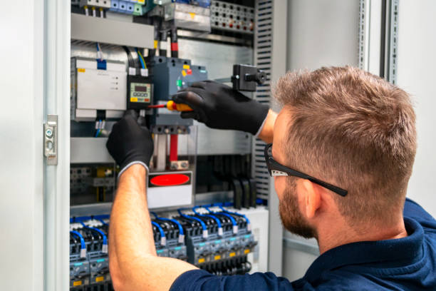 Best Electrical Panel Upgrades  in Blair, WI